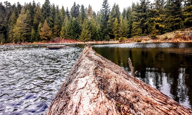 IMG_20170425_142158_599