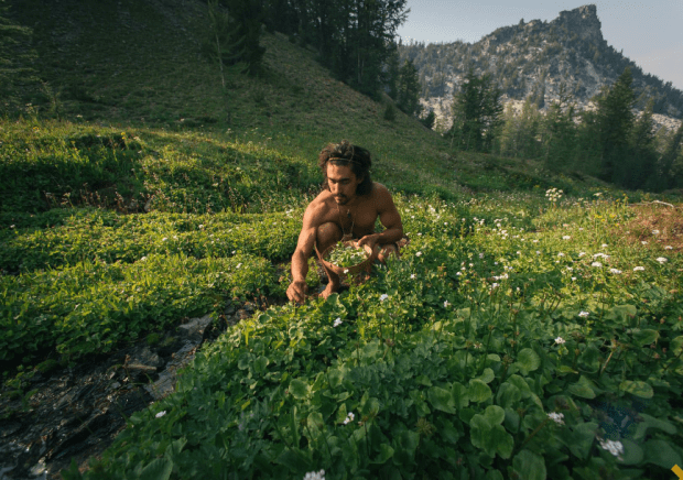 Screen Shot 2017-04-01 at 1.03.35 PM