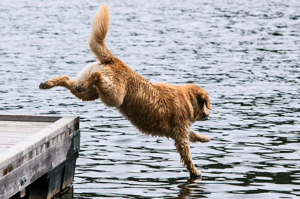 Screen Shot 2017-05-06 at 2.40.51 PM