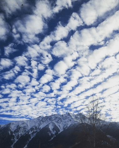 Screen Shot 2017-05-15 at 7.52.37 PM