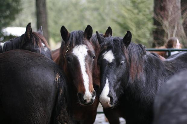 16473509_1915967705300413_3928048007200177622_n