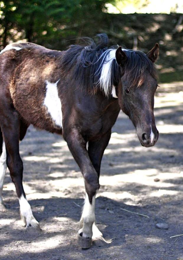 18882106_1980571385506711_4931451751691148359_n