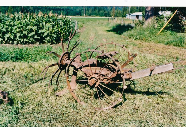 the parts by connie sobchak