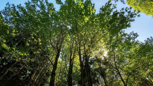 Out for a jog with Victoria Saddleman