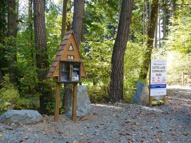 20842254_10155676455700238_9171250661408129007_n