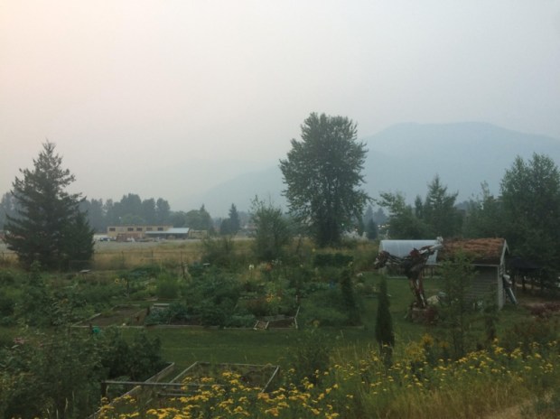 pemberton-creek-community-garden