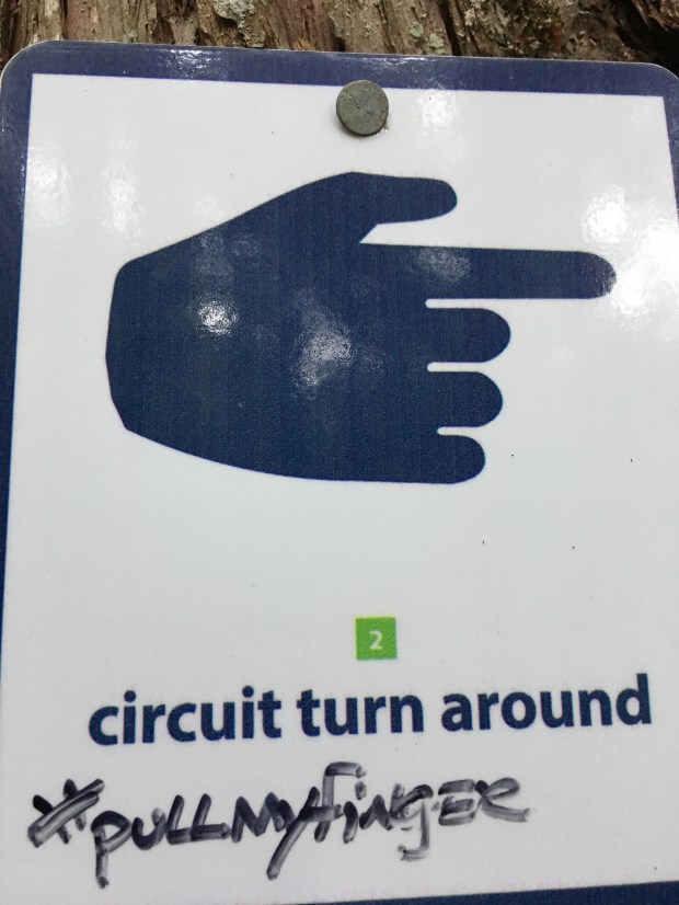 circuit photo by connie sobchak