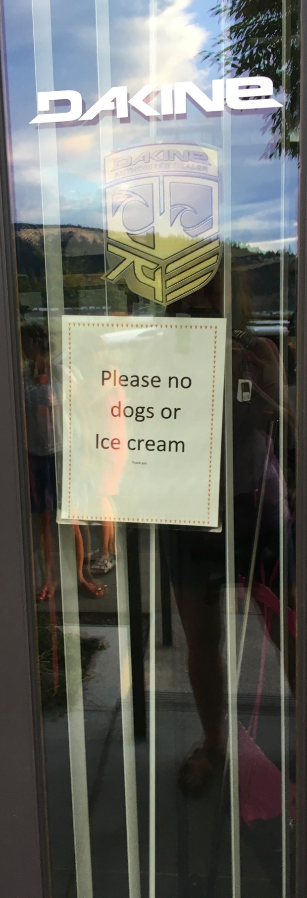 no dogs by connie sobchak
