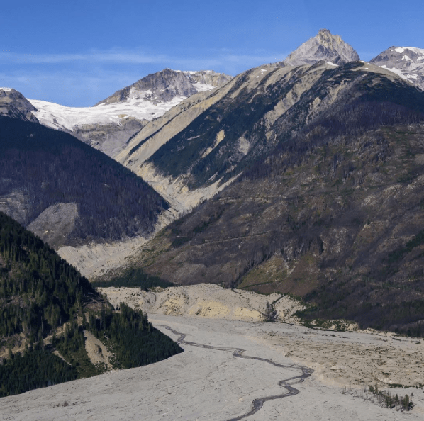 Meager by Dave Steers