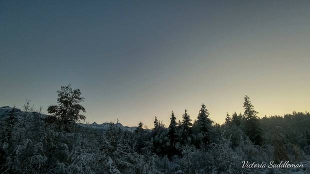 25270878_10156017507268308_1902412014_o