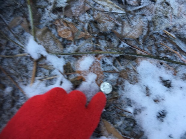 fullsizeoutput_11fe2