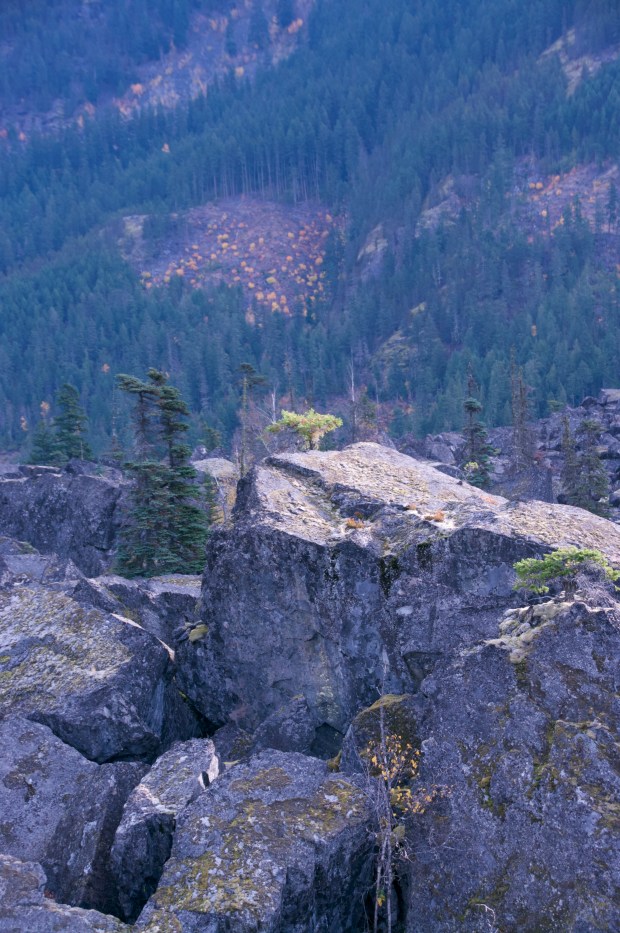 giants by connie sobchak