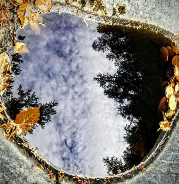 Shaylas top 4 of 2017 puddle reflection