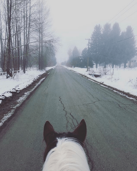 Anna Lengstrand rides through the spooky mist