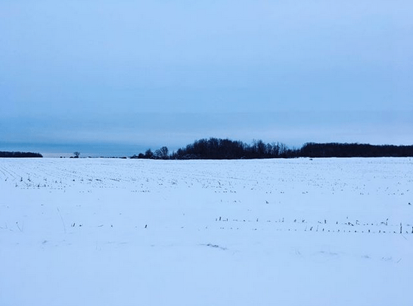 embrace winter by Kat Weed