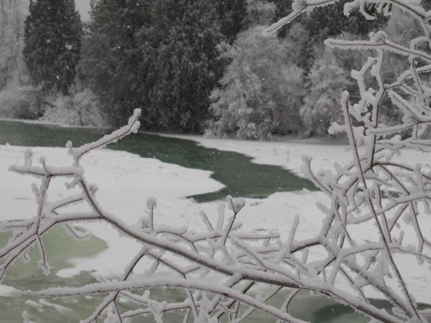 frozen river by connie sobchak