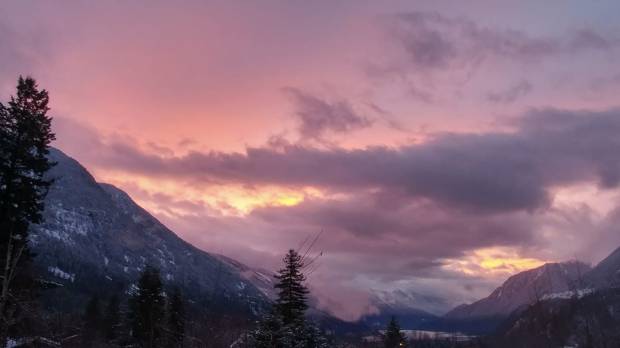 love her but leave her wild by victoria saddleman