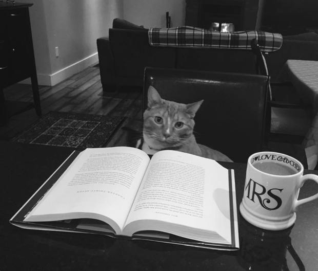 rach's life when not running away from tsunamis