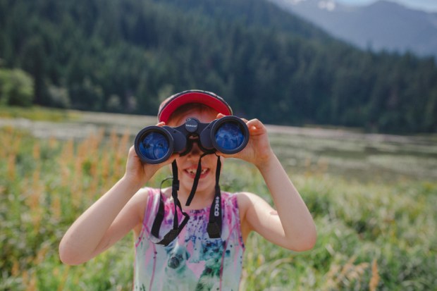 stewardship pemberton seeking