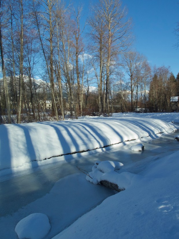 fullsizeoutput_12753