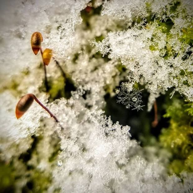 Shayla Wallace on delicate beauty