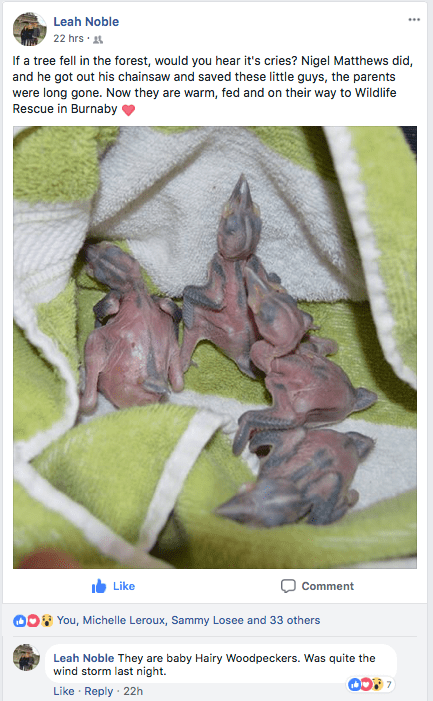 Screen Shot 2018-04-29 at 11.00.39 AM