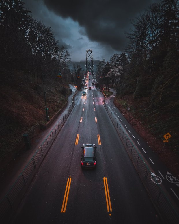 crossing the bridge by david ward