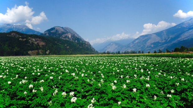 38171753_10156516250627889_8516987871012323328_o