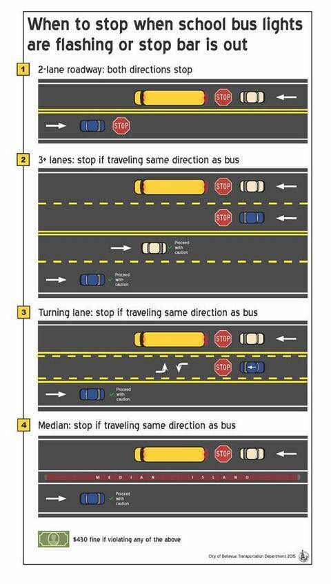 when to stop for a school bux via erica hurtibuse