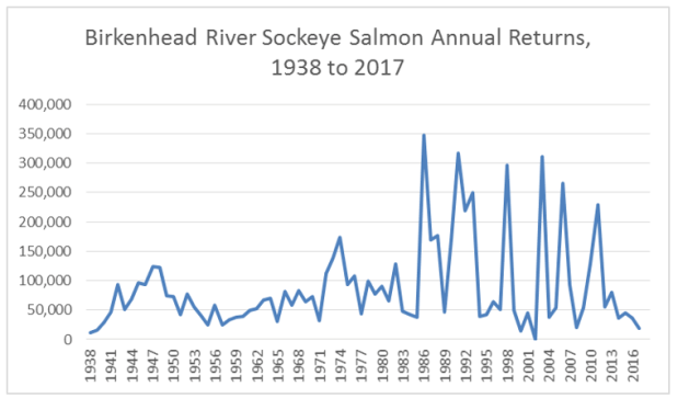 birkenhead river sockeye returns