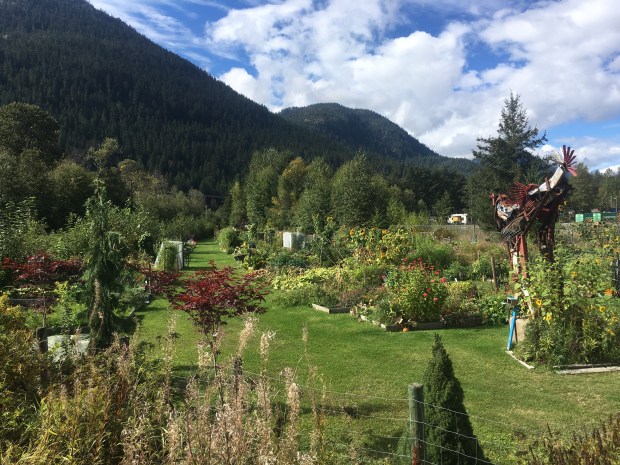 Pemby Community Garden Sep 23 2018