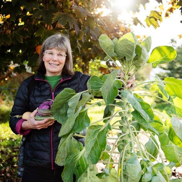 43878209_2469533263064431_326645139172753408_n