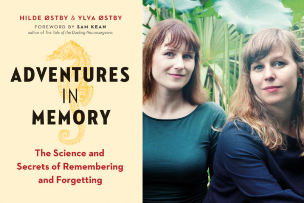 Adventures in memory