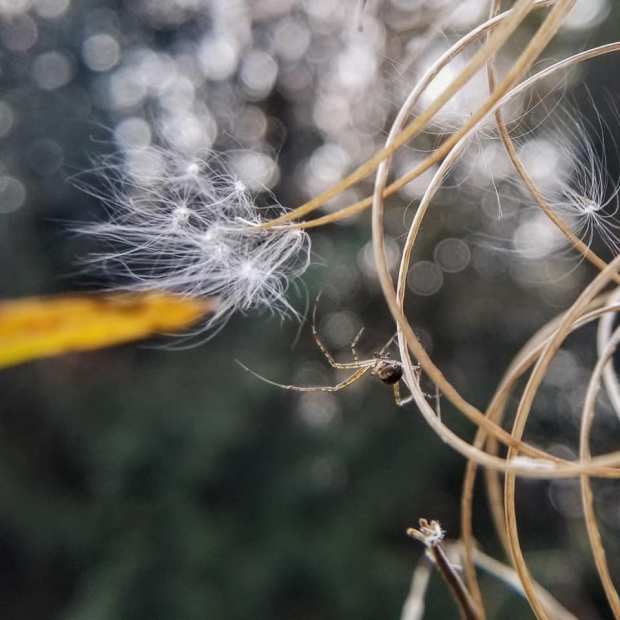 Photo by Shayla Wallace