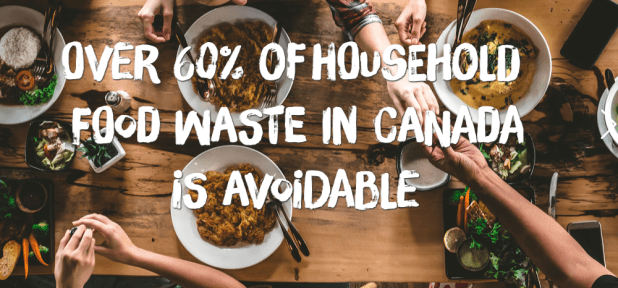 Screen Shot 2018-11-15 at 1.18.45 PM