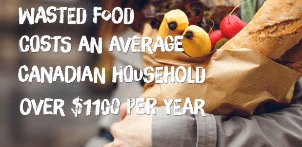 Screen Shot 2018-11-15 at 1.18.51 PM