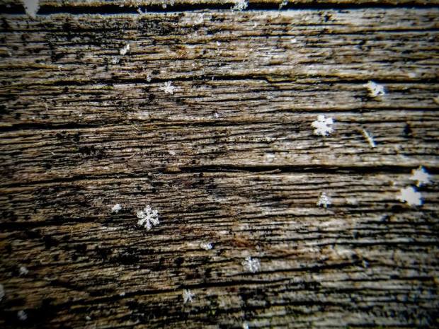 47577945_10161147950295293_64272248554389504_n