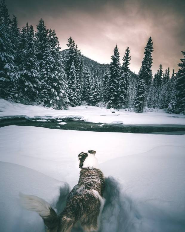 Photo by David Ward and why winter wonderland is a cliche that will keep getting used cos its true