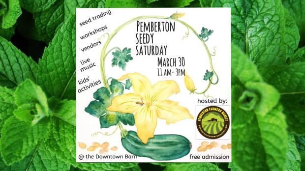 50949459_2011374952231175_8342567750178177024_o