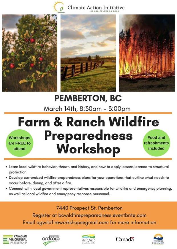 50820538_1405487012926137_7121342818022326272_n