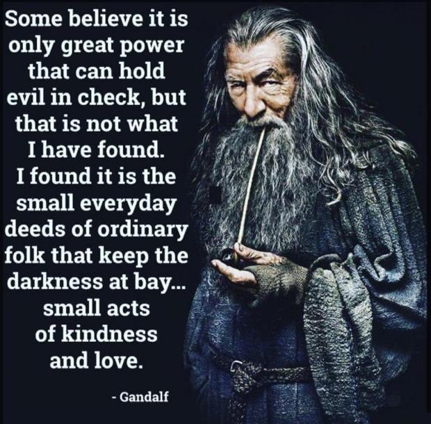 53077636_2172533246167274_199503545886572544_n