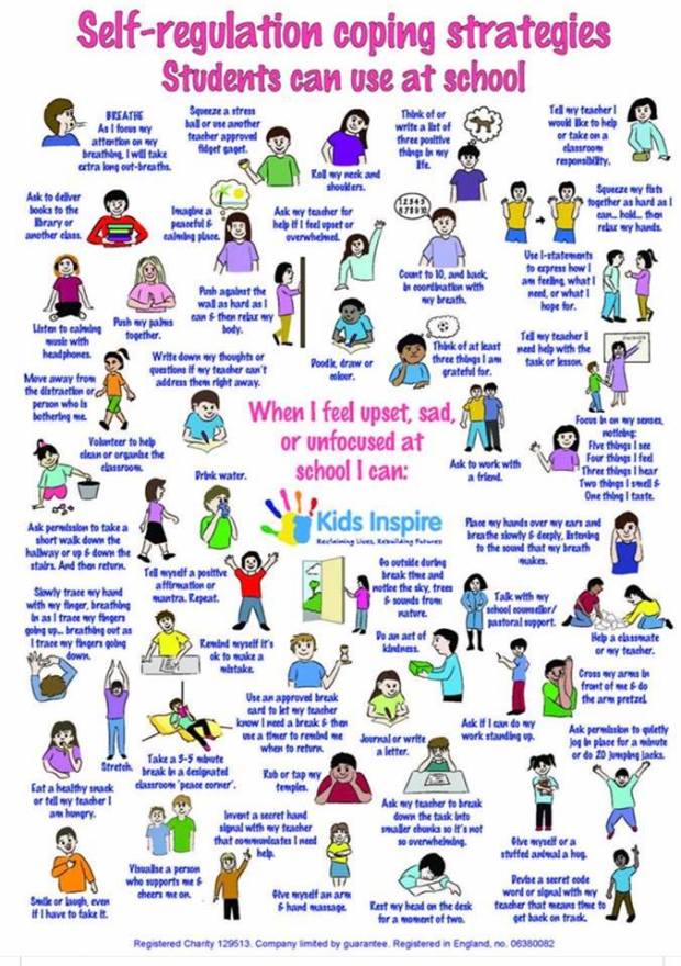 53320123_2046704168788906_1687941715199000576_n