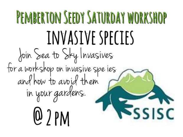 55498758_2086858774682792_1004747516601696256_o