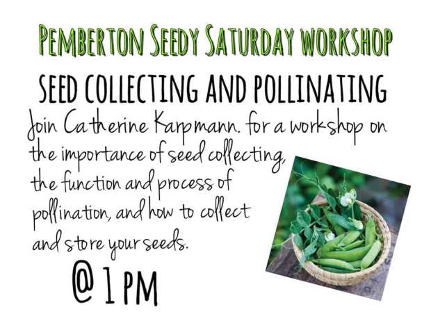 55630483_2086858734682796_4416656544268025856_o