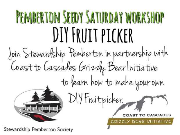 56119460_2086858818016121_7442204770846113792_o