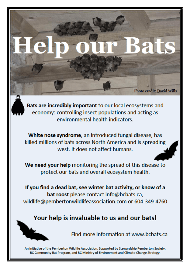 Screen Shot 2019-03-25 at 10.02.09 AM