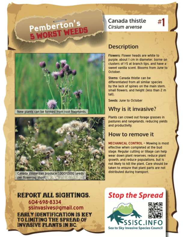 Screen Shot 2019-03-28 at 1.11.21 PM