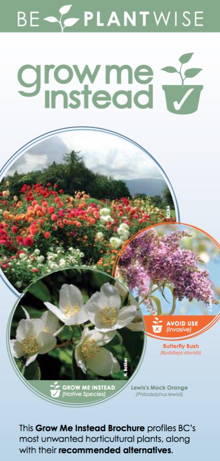 Screen Shot 2019-04-09 at 11.19.36 PM