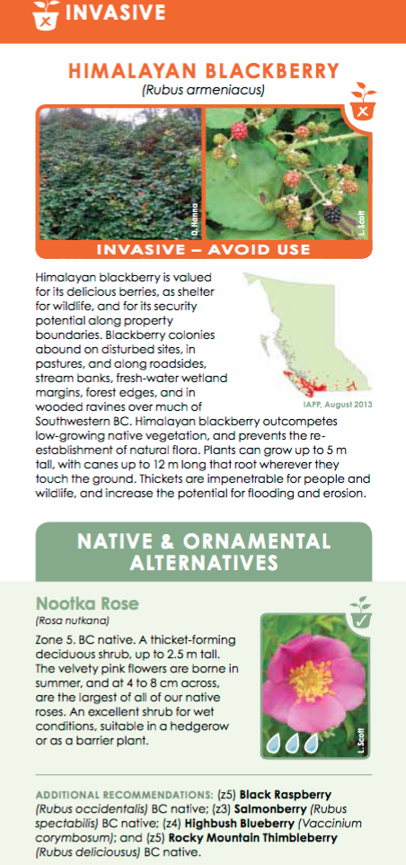 Screen Shot 2019-04-09 at 11.21.22 PM