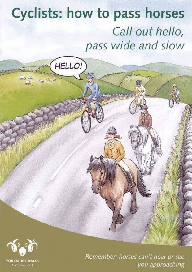 59902352_2510525072313357_7980268128976240640_n